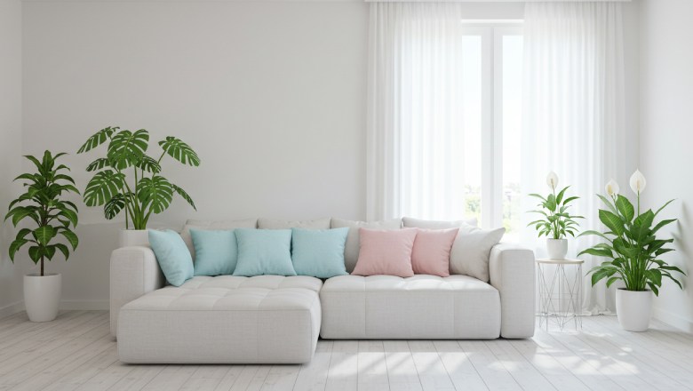 رنگ های تابستانی شاد